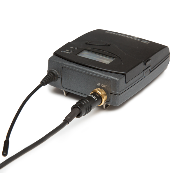Tentacle and Bodypack Receiver to Camera Y-Cable - Image 5