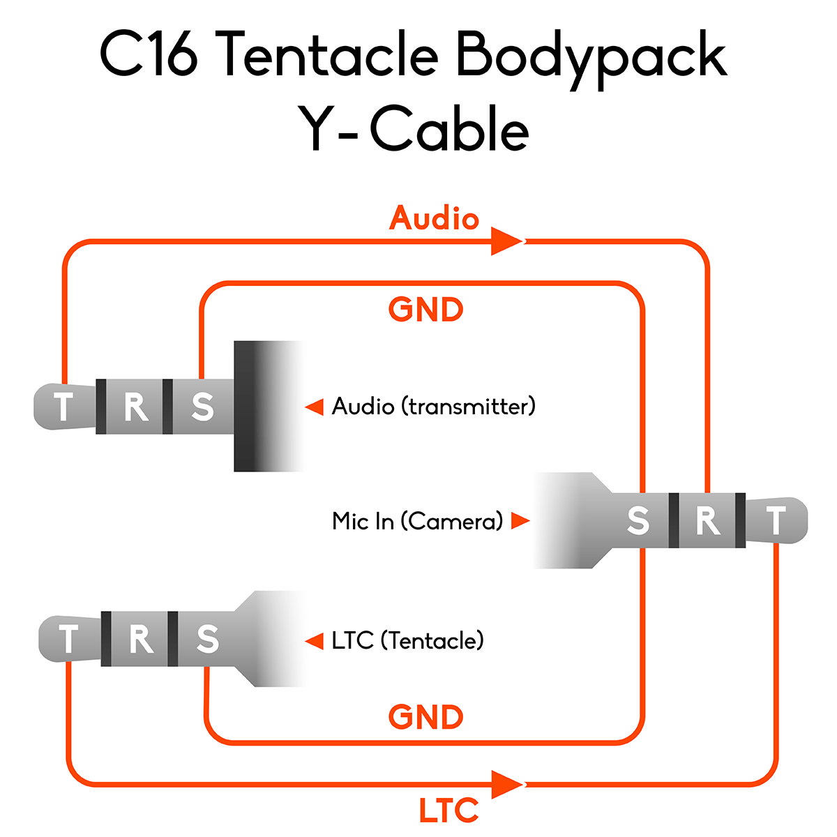 Tentacle and Bodypack Receiver to Camera Y-Cable - Image 7