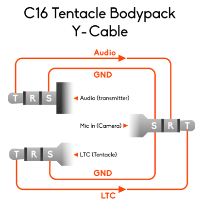 Belegungsplan des Tentacle Bodypack Y-Adapterkabels